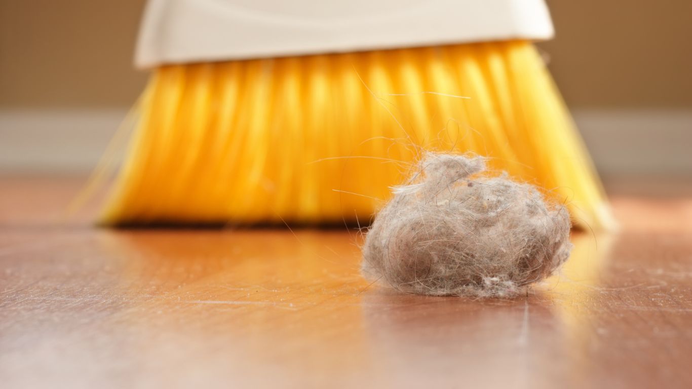 Does Dust in My Home Mean I Have Bad Indoor Air Quality?