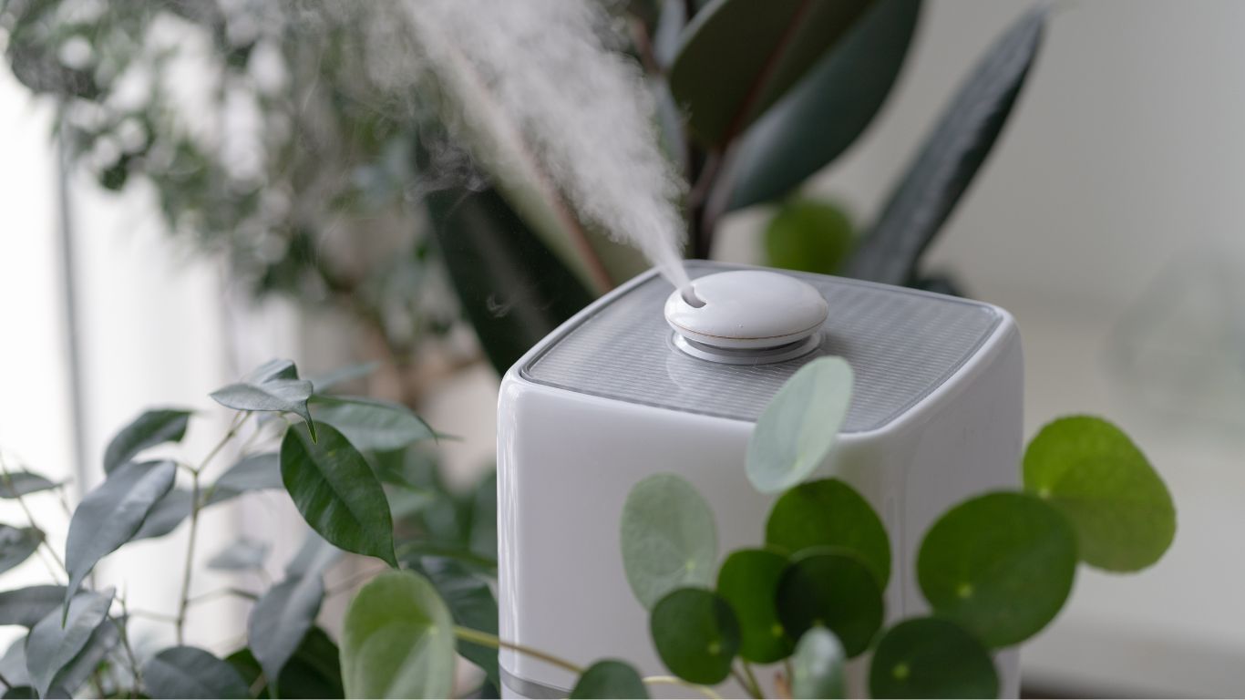 humdifier with plants around it
