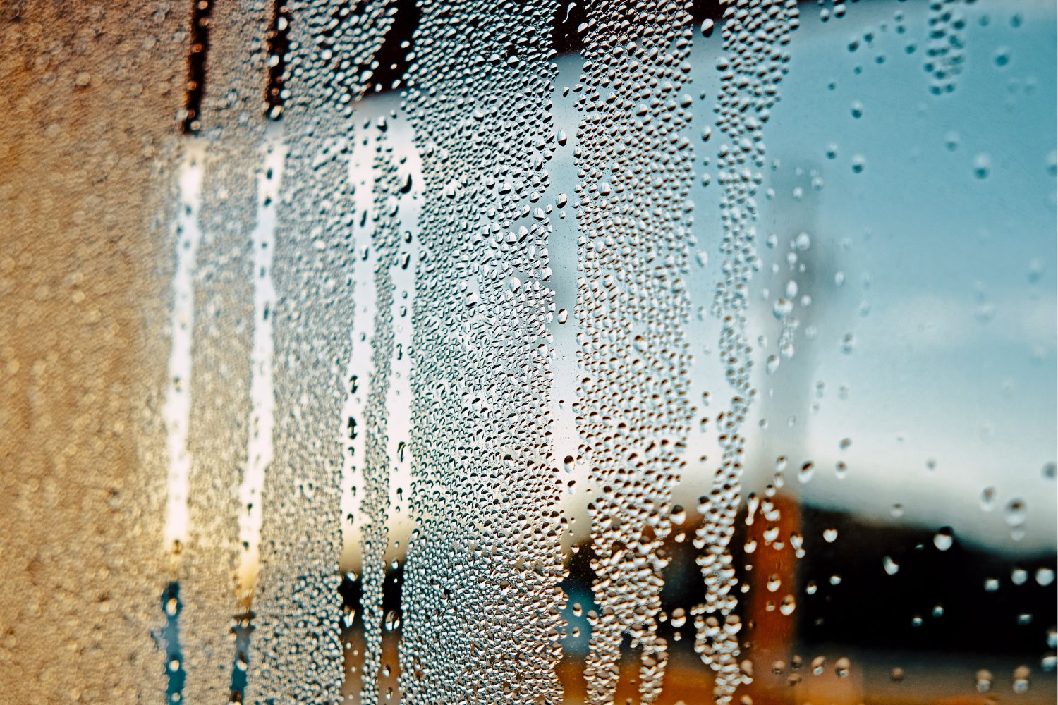 What is Considered High Humidity? Understanding Levels & Risks