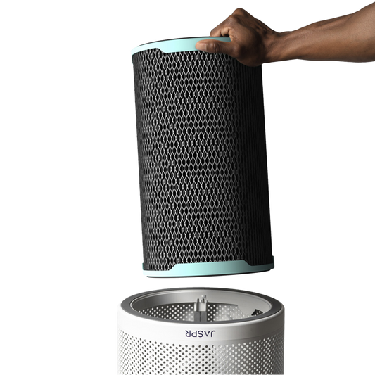 Replacement Filter - $0: First Charge