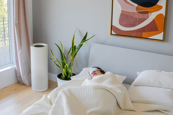 Person sleeping in a bedroom with a Jaspr air purifier, potted plant, and abstract art on the wall.