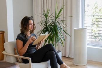 Woman reading a book in a modern living room with a plant and air purifier.