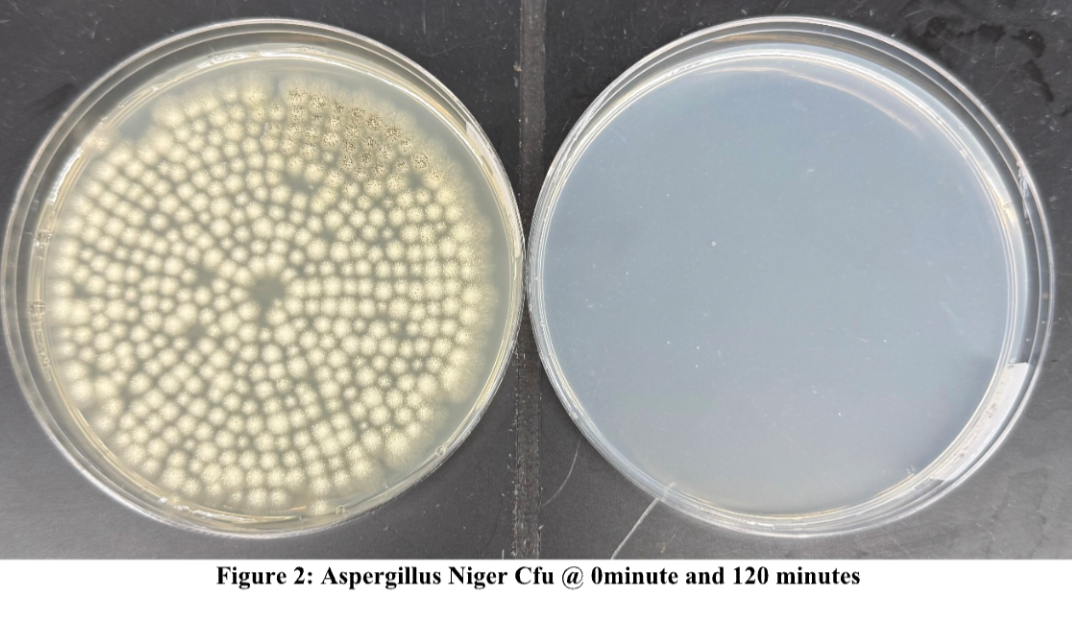 99.7% of Mold Gone in 90 Minutes With Jaspr