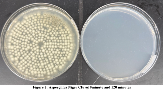 99.7% of Mold Gone in 90 Minutes With Jaspr