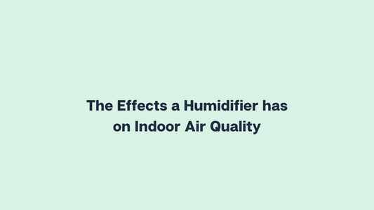 The Effects a Humidifier has on Indoor Air Quality