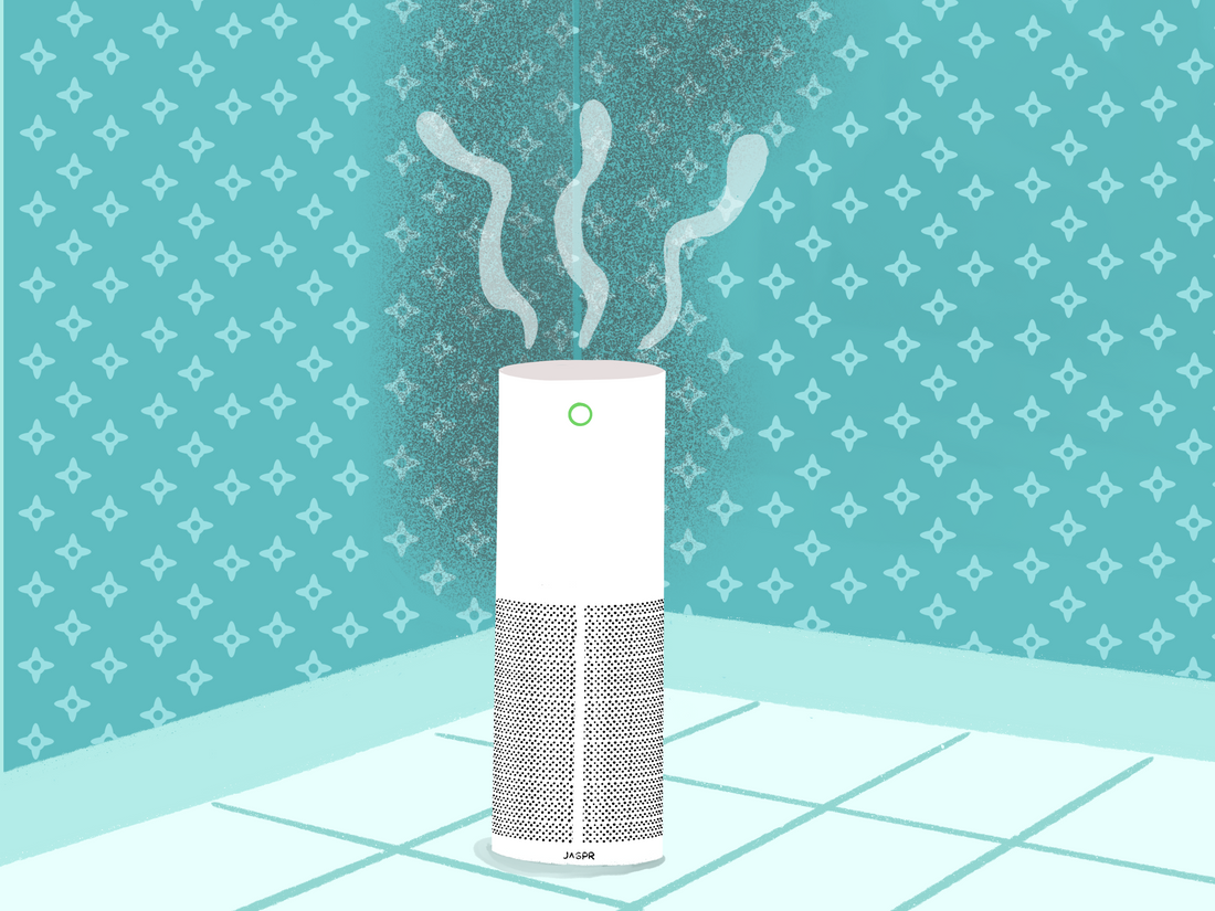 Do Air Purifiers Help with Mold? Yes, But Not Alone – Jaspr