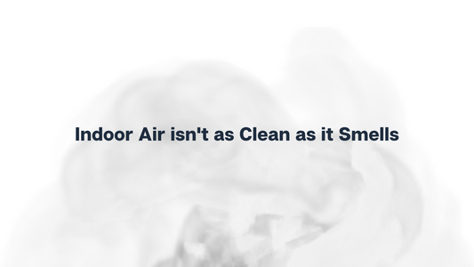 Indoor Air isn't as Clean as it Smells