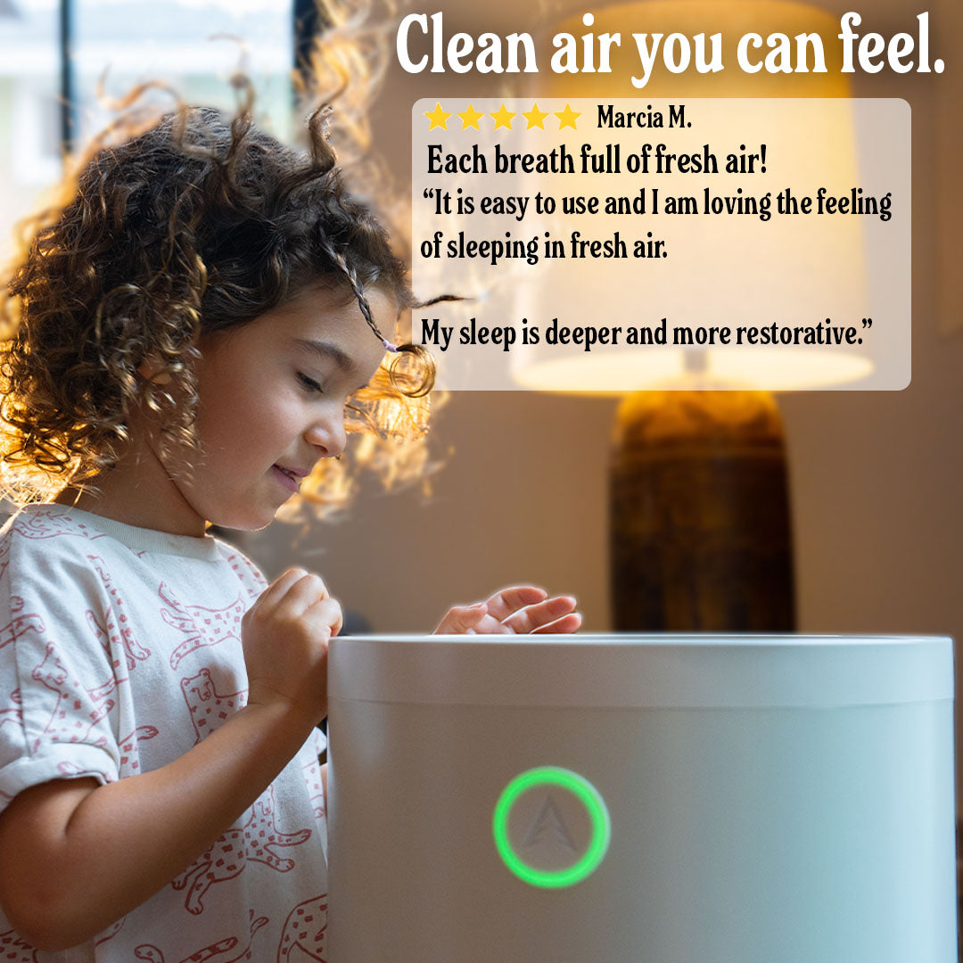 Jaspr Air Scrubber
