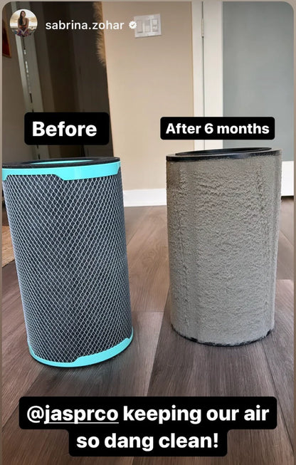 Jaspr Air Purifier Filter new and used after 6 months showing how must dust has built up on the filter